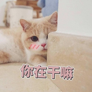 笑话十条：同事喊我陪她去吃饭，我就屁颠屁颠的去了