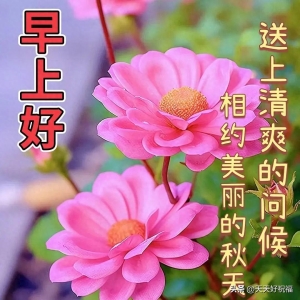 2023年10月31日星期二早上好，群发亲友温馨问候祝福语大全