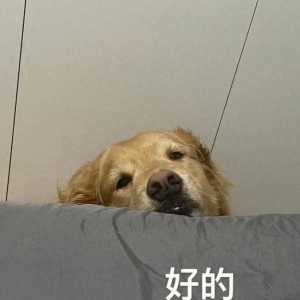 十大原创笑话：我上大学的时候，学校里发生过很多恋情，我没有说