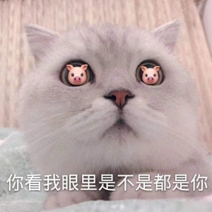 疯狂逗笑！十条超短笑话，你为何退学？