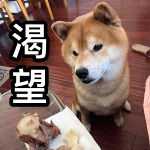 原创笑话十条： 大学时宿舍偷偷炖肉，门突然开了导员推门进来