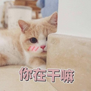 十条超搞笑笑话，你绝对笑翻！