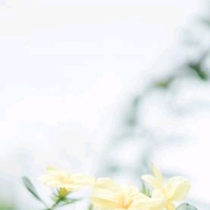 散文：生活的美学，就是爱生活，安于烟火日常