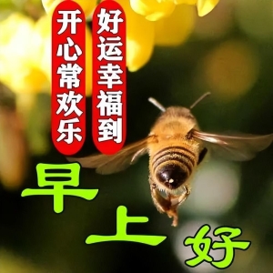 10月16日今天漂亮早上好图片，言语不多心里暖，亲情友情记心间