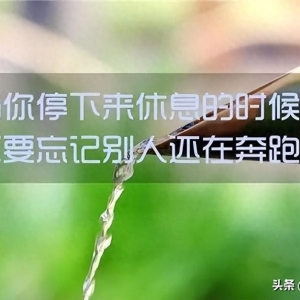 感慨人生的句子 说说感悟人生一句话