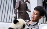 以为是假新闻，但其实是真新闻，袁立、张译、韩庚，个个离谱
