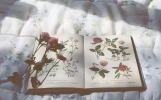 非常经典的人生感悟句子，快找一句喜欢的发朋友圈吧