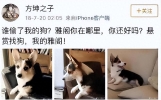看似离谱，却是真新闻：从张译到撒贝宁，他们的经历个个离奇