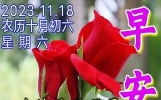 心在，情在，问候在，我的祝福永远都在，早上好！
