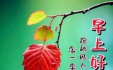 今日早安祝福问候语大全，微笑在身边，快乐每一天！