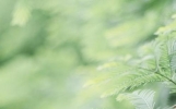 散文：生活美好，我们一直在路上追寻