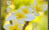 早安吉祥：有我的祝福陪伴，你定会开开心心，亲爱的朋友，早安！