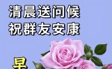 今日最新早上好问候语，美好心情，伴随你