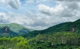 我与青山皆未老青山与我共得闲是什么意思？