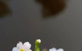 一些经典有哲理的感悟说说，发朋友圈引人深思！