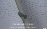 打动人心爱情表白句子,句句浪漫暖心