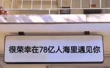 走心爱情语录短句情话，超甜撩人的表白文案