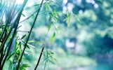 人民日报每日文摘‖当你喜笑颜开，生活自会清风徐来