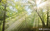 当你积极向上，生活自会光芒万丈