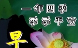 温暖相伴，缘分永在，珍惜有你，朋友早上好！