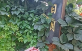 人生感悟简短句子，致自己高质量短句文案