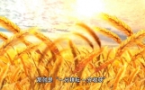 致高考学子：坚定信念，勇往直前