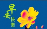 周五愉快，群发亲友温馨问候祝福语大全，愿君周五安康