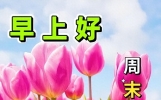 今日新版早上好问候精选，祝福已飞到你面前