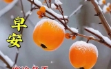 微信漂亮早安祝福问候语大全，相互牵挂，祝福无价！