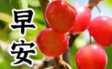 今日早上好祝福短句大全，送去美好祝福，祝你今天更美好