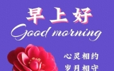 周三穿透人心的早上好祝福语录，9句简短问候祝福，早晨问候集锦