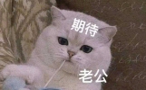 笑话十则：让你笑到肚子疼！（幽默）