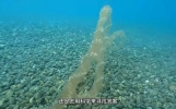 天空之门被打开？飞行列车？9个闻所未闻的离奇画面 #奇闻异事