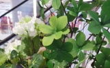 高质量朋友圈文案短句，干净走心的说说