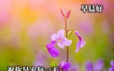 早安问候语幽默短信，群发的早安问候祝福语短信句子