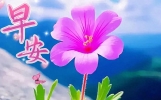 简单而充实的早上好祝福语短信，勇敢面对生活的正能量感悟句子