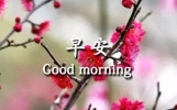 早上好关心朋友的问候短句祝福语，知心好友，真心牵挂