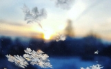 7首春雪诗词，庭树飞花，浪漫了整个春天