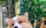 11个笑到肚子痛的小笑话，让你开心一整天！