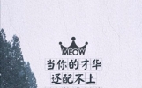 励志努力经典句子，激励人拼搏奋斗的短句