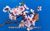 小雨的爱情