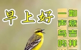 全新版本的早上好问候祝福语，祝福早晨，万事顺意