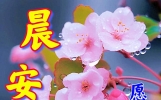 最新版早上好祝福，真心问候，吉祥安康