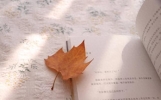 清风徐来，诗意盈怀——细数那些适合发说说的唯美短句
