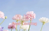 早安问候短信精选，暖心开启每一天！