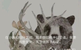 那些读上去唯美而有韵味的句子，美得令人窒息