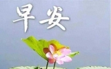 早安祝福，每日温馨问候短信精选！