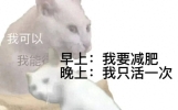 笑话十条：晚上，老公给我讲了一件他小时候最开心的事