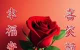 暖心温馨的早上好祝福语，愿友谊长存，健康常伴