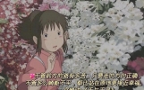 电影中的经典台词，句句都是人生哲理，看完让人受益匪浅！